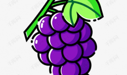 葡萄漫画图,趣味横生的果实故事